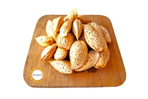سوغات بشرویه در فروشگاه آنلاین بشگردی