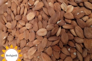 سوغات بشرویه در فروشگاه آنلاین بشگردی