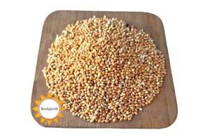 سوغات بشرویه در فروشگاه آنلاین بشگردی