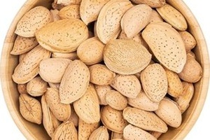 سوغات بشرویه در فروشگاه آنلاین بشگردی