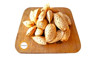 فروشگاه انلاین بشگردی در بشرویه